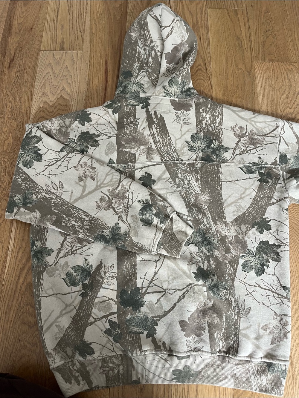 Abercrombie & Fitch Cream Hoodie with Brown Tree and Green Leaf Print